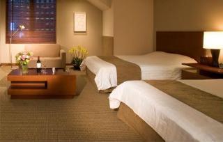 Metro Myeongdong Hotel 3*